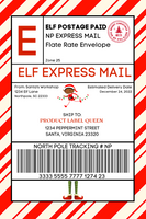 Express Mail 4x6 Canva Label Template, DIY, Instant Download